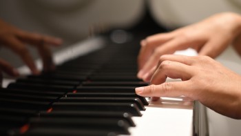 Die Fingerfertigkeit - Professionelle Unterstützung