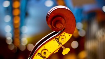 Die Akustik - Strategisches Marketing
